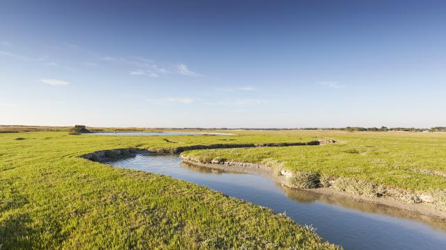 Les Salines du havre de la Vanlée