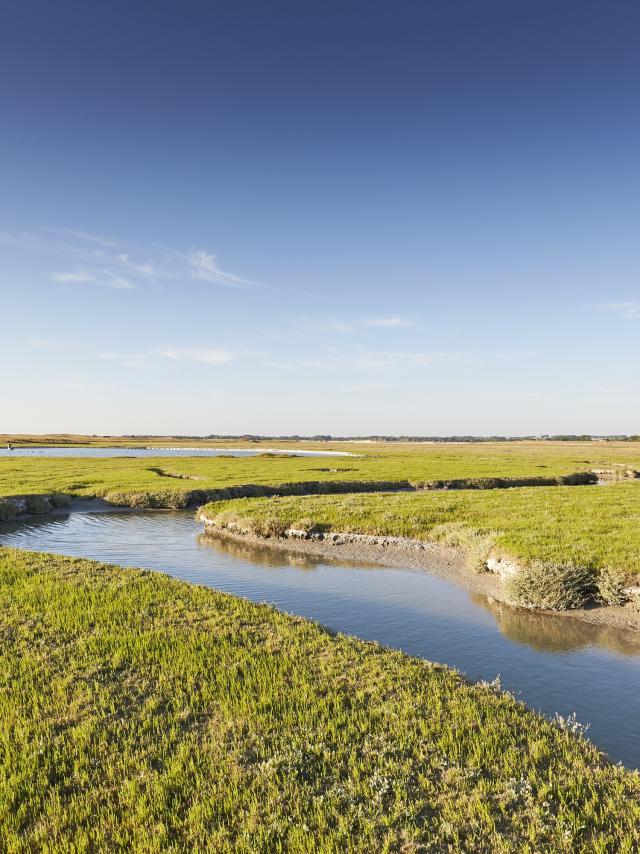 Les Salines du havre de la Vanlée