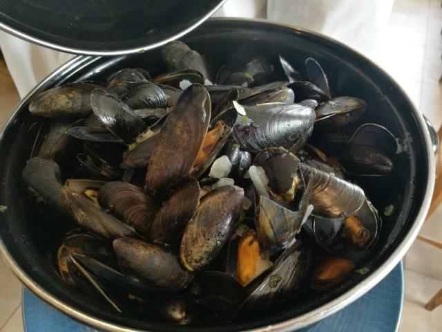 Moules Bouchot Normandie