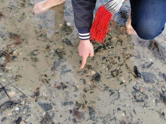 Technique douce de la pêche à la marque