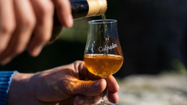 Cidre, pommeau et calva de la ferme cidricole du château de Chanteloup