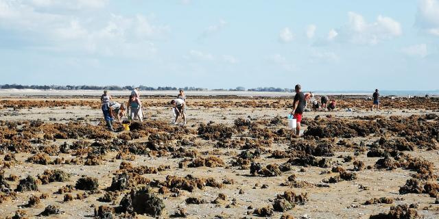 High tides at Champeaux