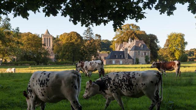 L'Abbaye de La Lucerne, une architecture du XIIe siècle dans un écrin de verdure