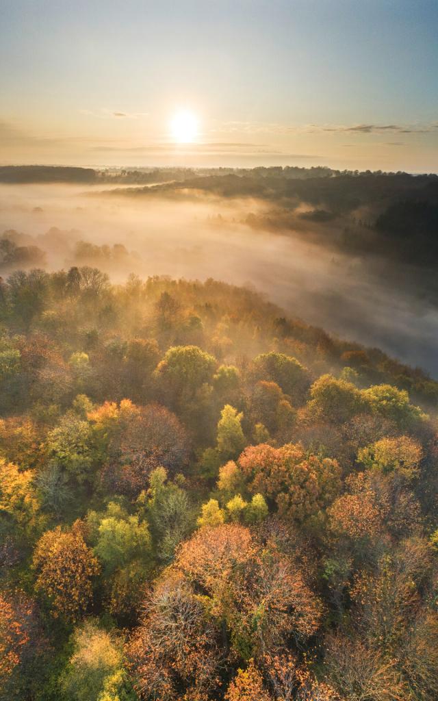 Lever de soleil sur la forêt de La Lucerne