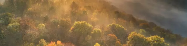 Lever de soleil sur la forêt de La Lucerne