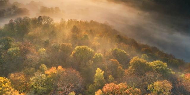 Lever de soleil sur la forêt de La Lucerne