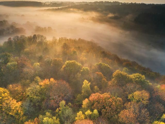 Lever de soleil sur la forêt de La Lucerne