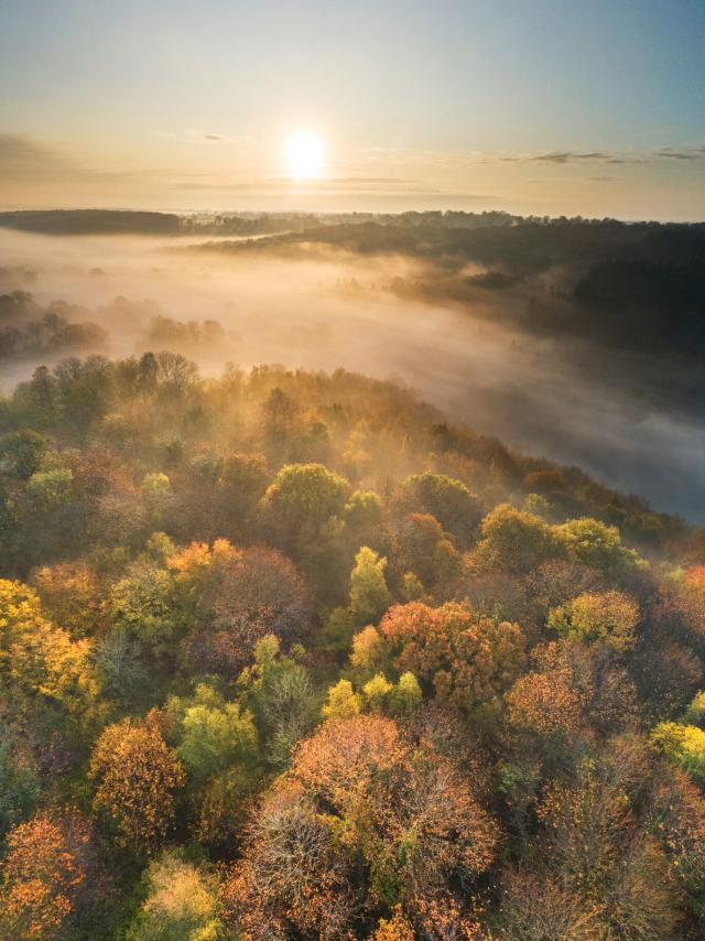 Sonnenaufgang über dem Wald von La Lucerne