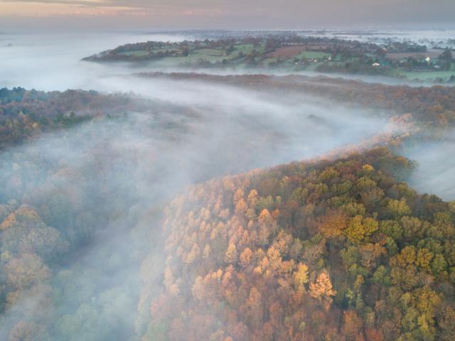 Vue aérienne de la forêt de La Lucerne-d'Outremer