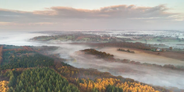 Vue aérienne de la forêt de La Lucerne-d'Outremer