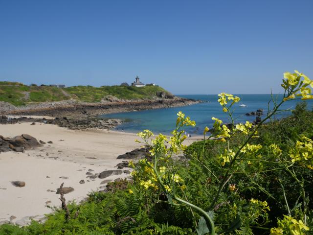 Der Leuchtturm von Chausey und Port Marie, Grande Île