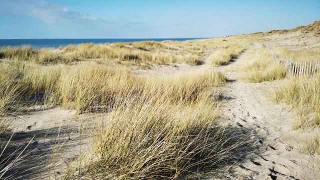 Les dunes de Bréville-sur-Mer, site naturel protégé