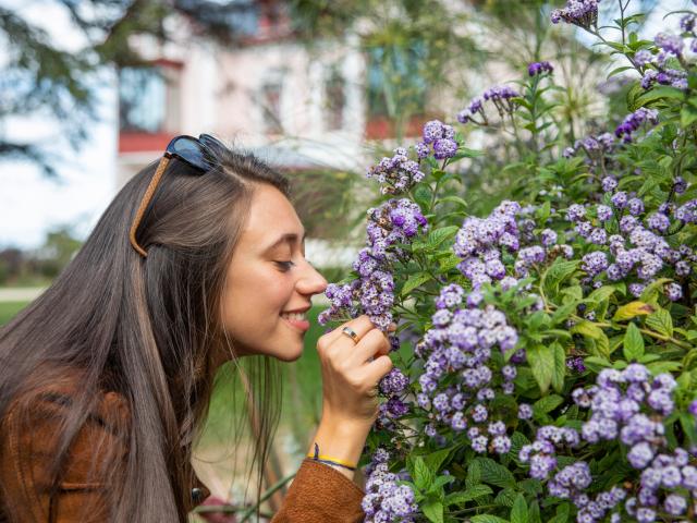 Une femme sent le parfum des fleurs dans le jardin du musée Christian Dior à Granville