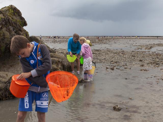 Clam digging