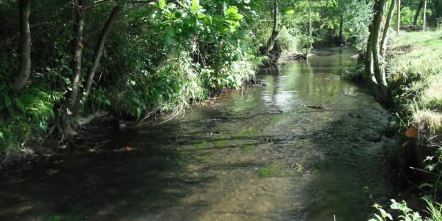 Principal affluent de la Sienne, l'Airou serpente sur plus de 35km au travers des roches dures d'une vallée sinueuse et encaissée