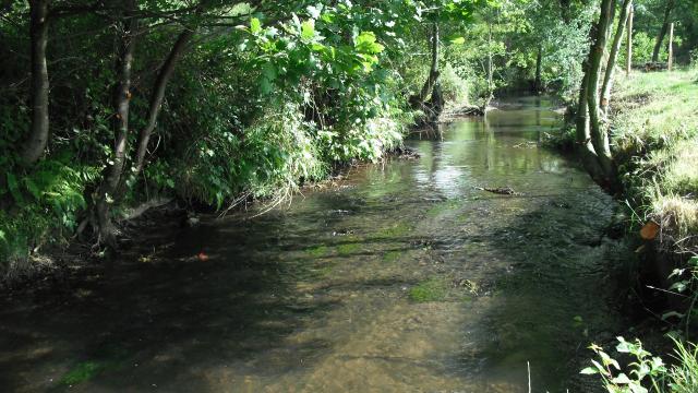 Der Airou, der wichtigste Nebenfluss der Sienne, schlängelt sich über 35 km durch die harten Felsen eines gewundenen und tief eingeschnittenen Tals.