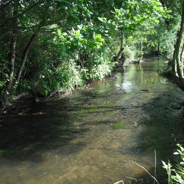 Principal affluent de la Sienne, l'Airou serpente sur plus de 35km au travers des roches dures d'une vallée sinueuse et encaissée