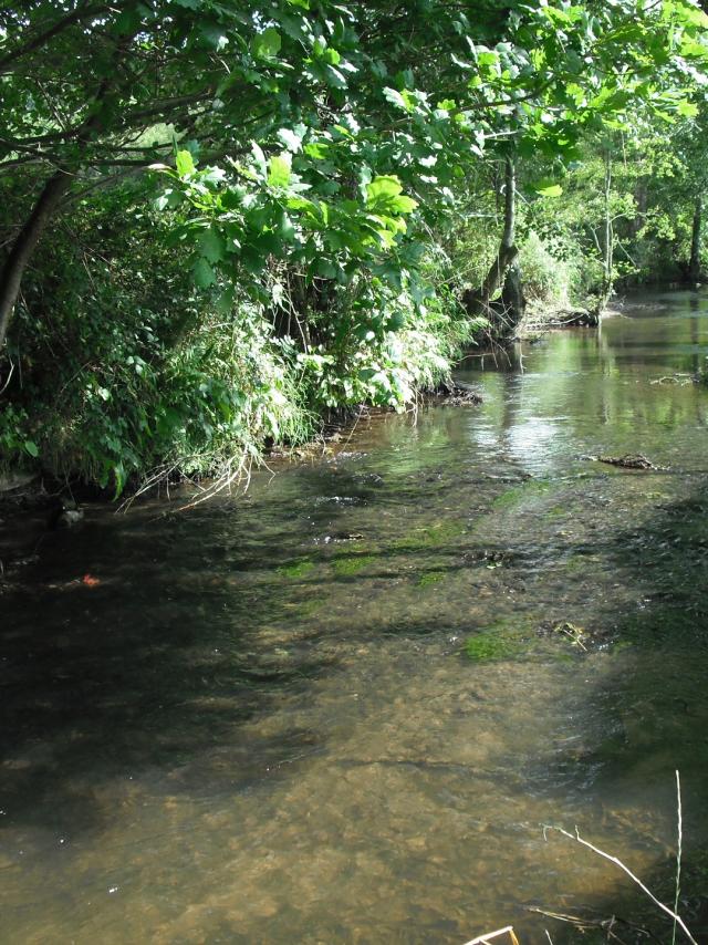 Principal affluent de la Sienne, l'Airou serpente sur plus de 35km au travers des roches dures d'une vallée sinueuse et encaissée