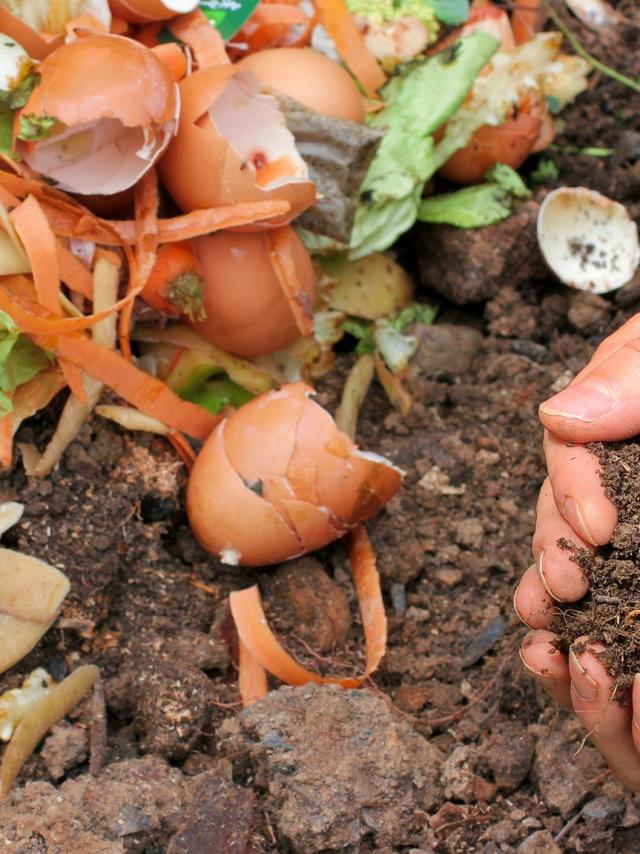 Composting