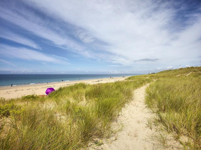 Les dunes de Bréville-sur-Mer, site naturel protégé