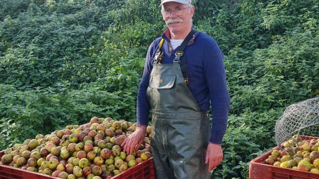 Mr Leroy, producteur de cidre, Domaine M. Le Girard