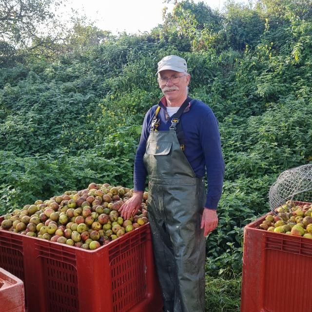 Mr Leroy, producteur de cidre, Domaine M. Le Girard