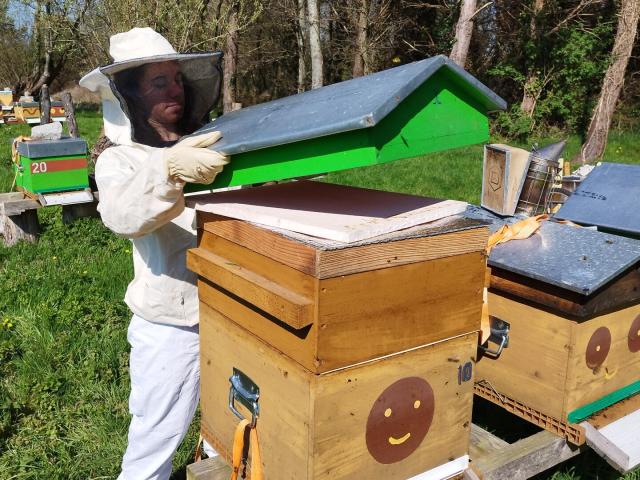 Apiculture Les Ruches De Jacky Lebon