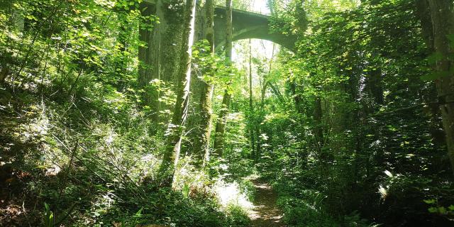 La Vallée des Peintres à Carolles