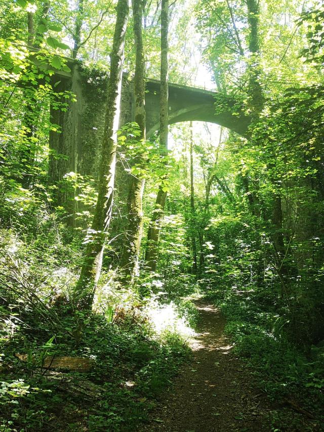 La Vallée des Peintres à Carolles