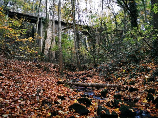 La Vallée des Peintres à Carolles