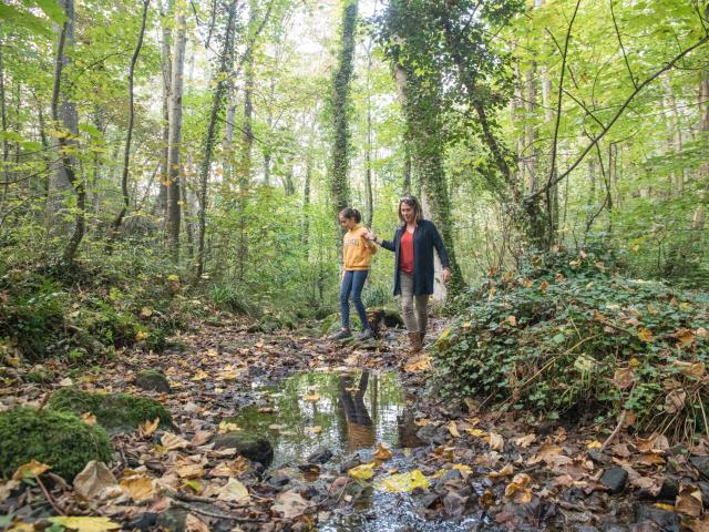 La Vallée des Peintres à Carolles