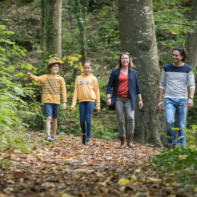 La Vallée des Peintres à Carolles