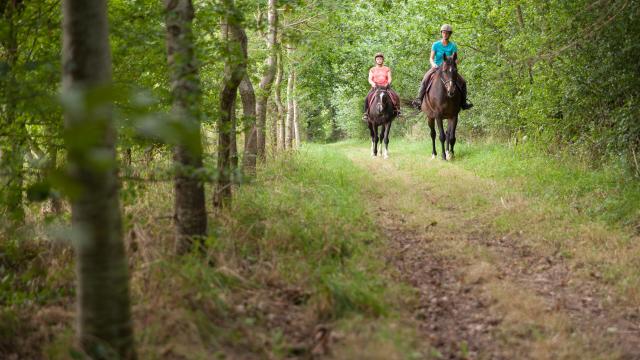 Randonneurs à cheval dans le bocage