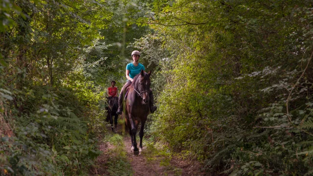 Randonneurs à cheval dans le bocage