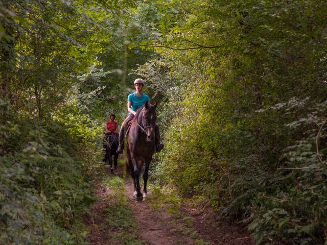 Randonneurs à cheval dans le bocage