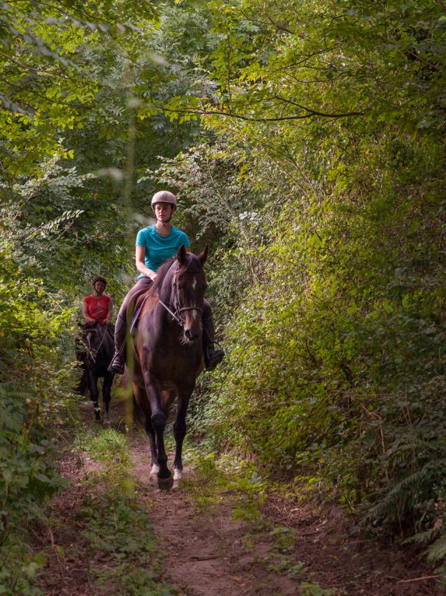 CAROLINE UND MATHILDE (FREIE REITERIN) WANDERN ZU PFERDEN RUND UM DIE STÄLLE VON MESNIL ZWISCHEN BRÉHAL UND COUDEVILLE SUR MER. NORMANDIE, FRANKREICH AUGUST 2017.