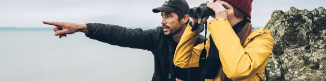 Sébastien Provost - Birding Mont-Saint-Michel