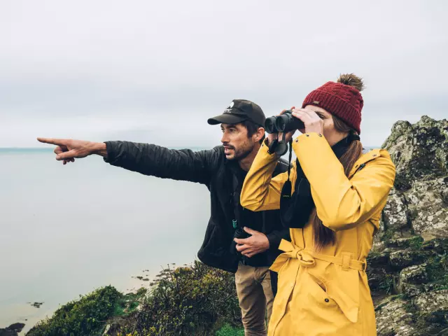 Sébastien Provost - Birding Mont-Saint-Michel