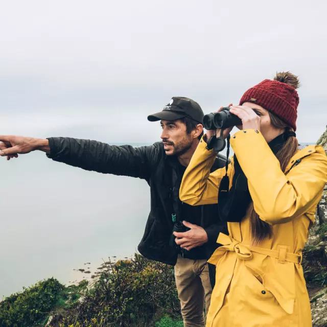 Sébastien Provost - Birding Mont-Saint-Michel