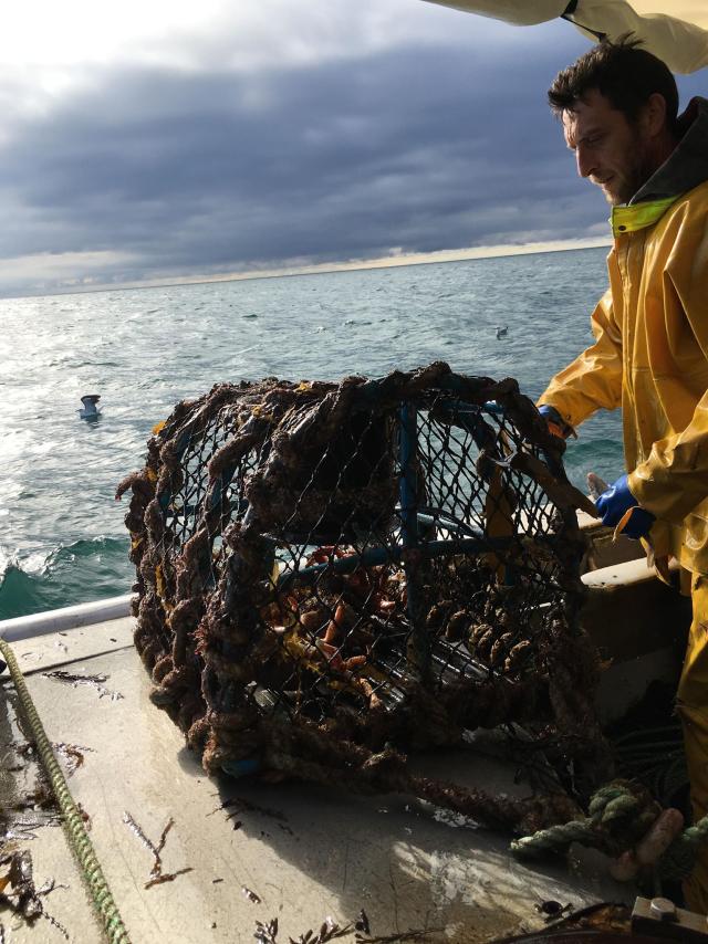 Casier de pêche à Chausey