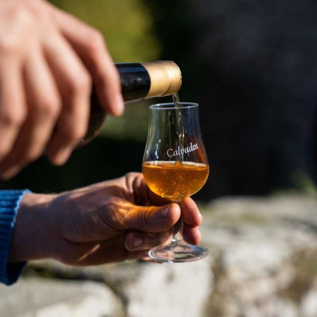 Dégustation de produits cidricoles au Château de Chanteloup