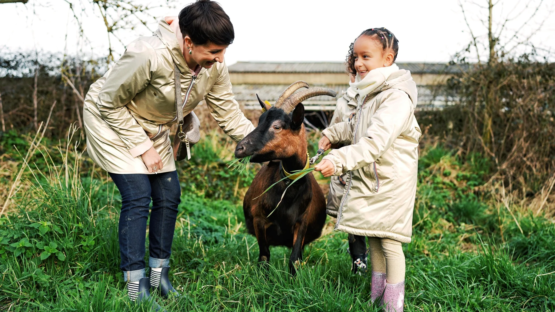 Visite de la ferme de La Chèvre Rit en famille