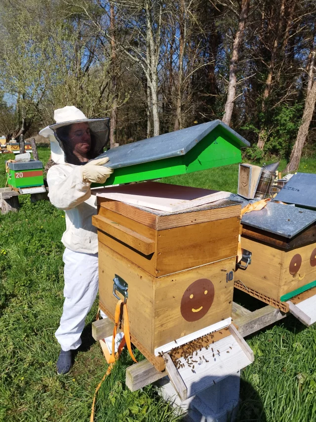 Apiculture Les Ruches De Jacky Lebon Credit Otgtm Jacky Lebon 36914 1920px 1