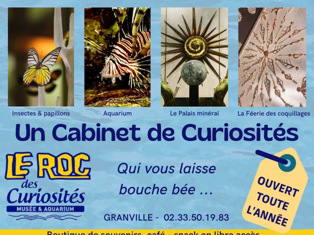 Le Roc des curiosités