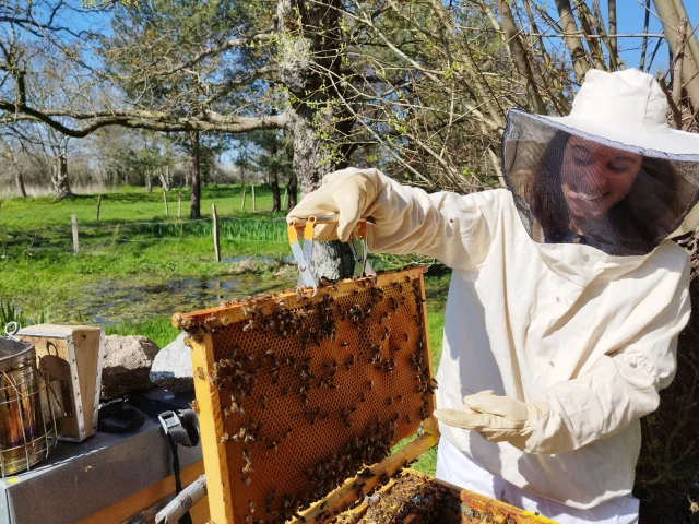 Apiculture Les Ruches De Jacky Lebon Credit Otgtm Jacky Lebon 36914