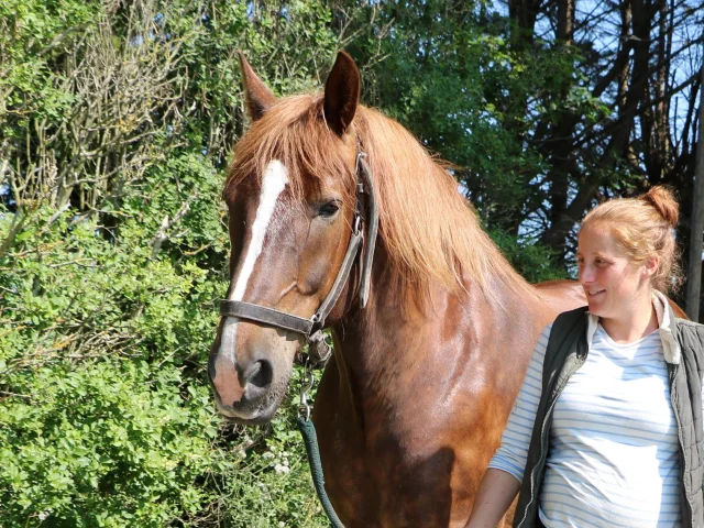 La Cavalerie d'Andrea