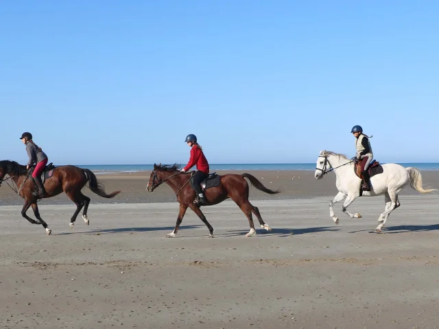 La Cavalerie d'Andrea