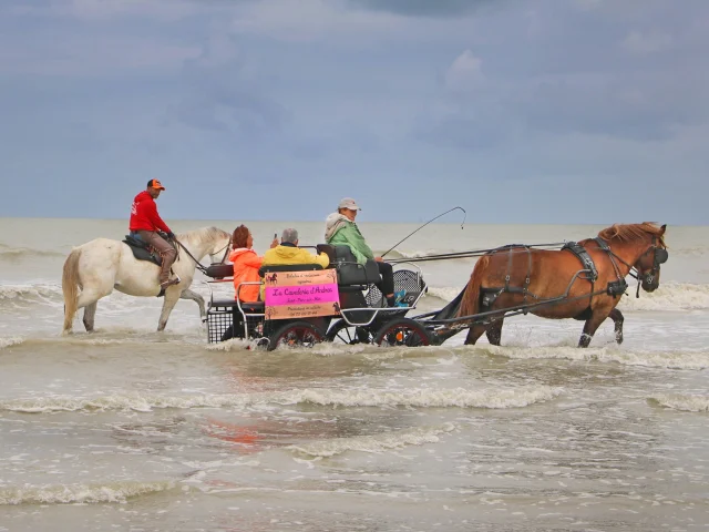 La Cavalerie d'Andrea