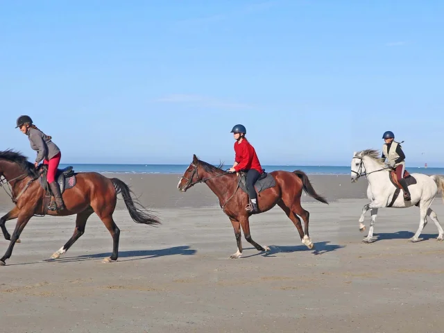 La Cavalerie d'Andrea