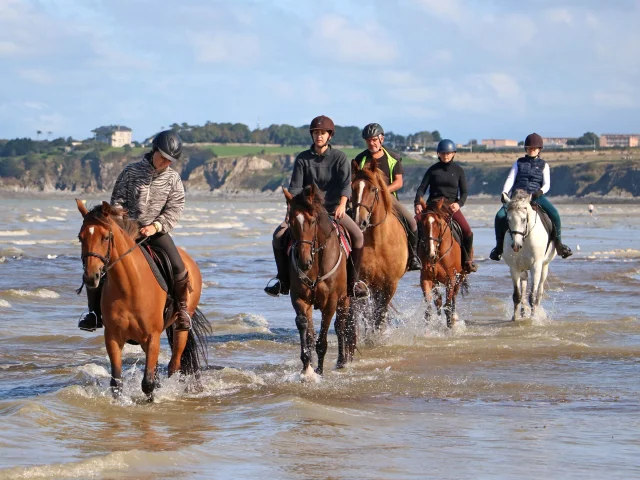 La Cavalerie d'Andrea